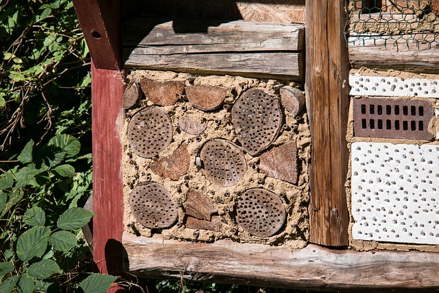 昆虫旅馆 昆虫 昆虫屋 - 上的免费照片