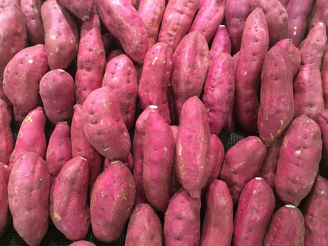 甘薯 红紫色 桩 - 上的免费照片