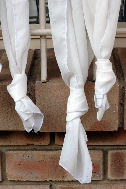 窗帘 目睹 雪纺 - 上的免费照片