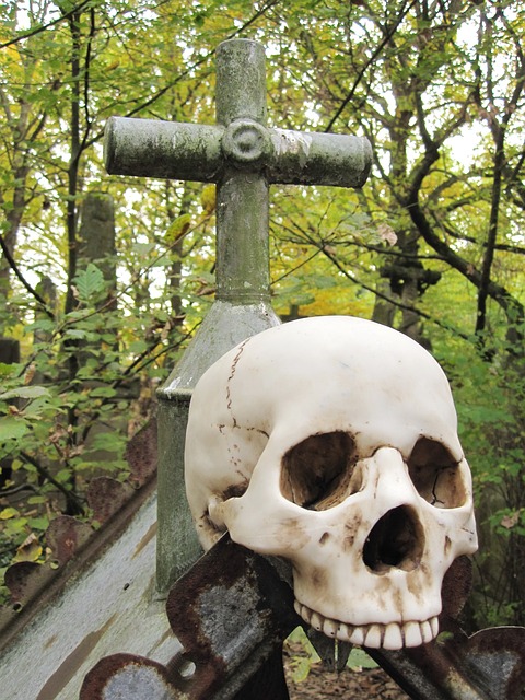 死亡 颅骨 骷髅和交叉骨 - 上的免费照片