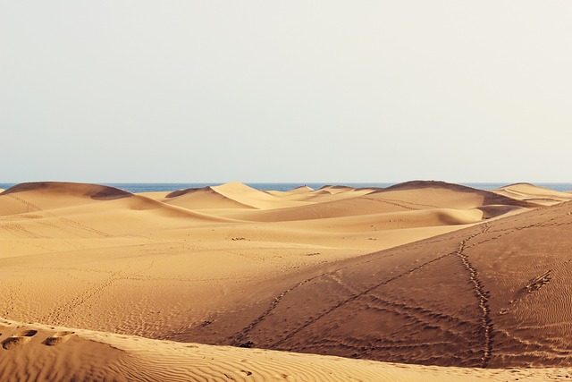 沙丘 荒野 旅行 - 上的免费照片