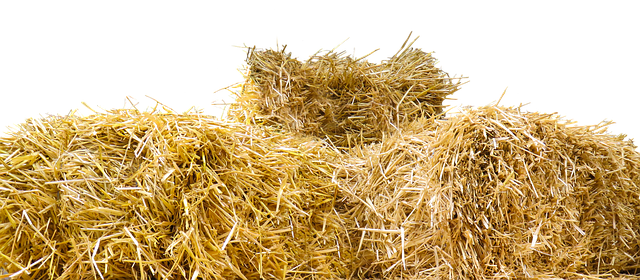 稻草 稻草包 孤立 - 上的免费图片