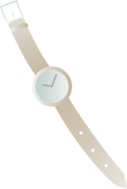 手腕上的手表 女式手表 时间 - 免费矢量图形