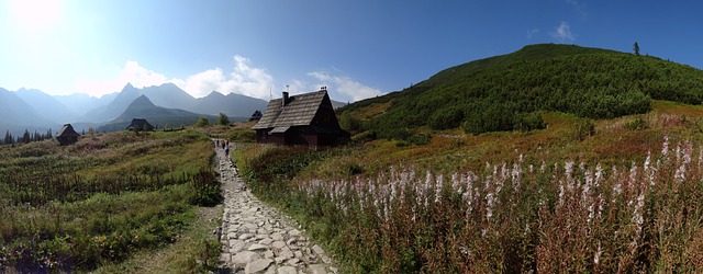 波兰 国家公园 山 - 上的免费照片