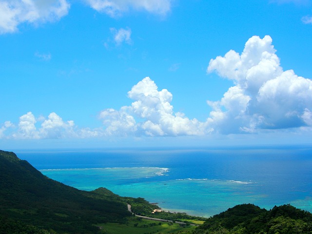 石垣岛 珊瑚礁 叶子 - 上的免费照片