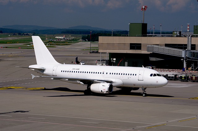 空客A319 苏黎世机场 喷射 - 上的免费照片