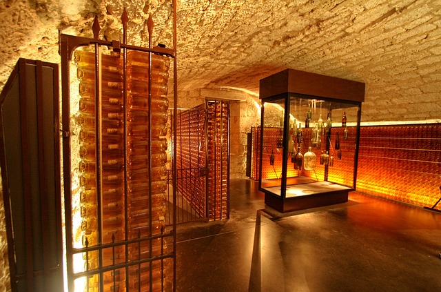 法国 多尔多涅省 佩里戈尔 - 上的免费照片