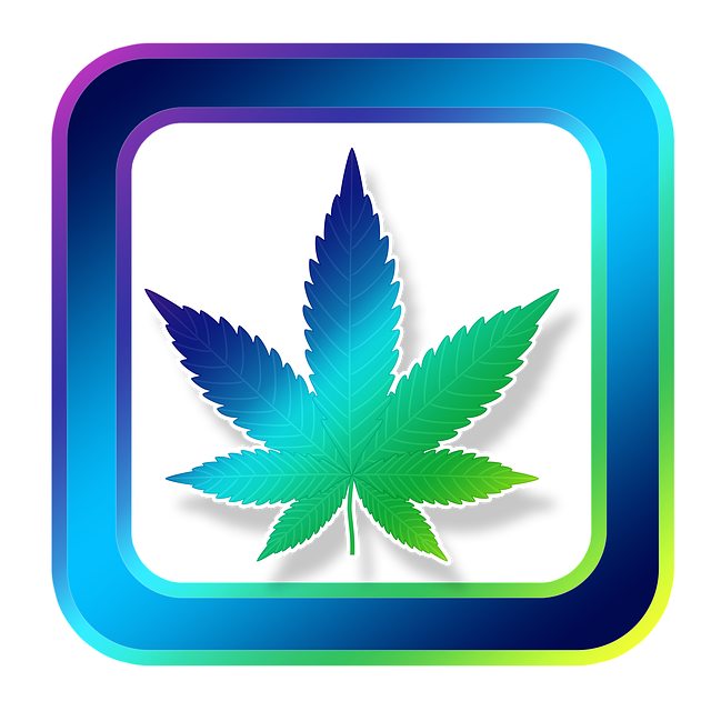 图标 麻 大麻 - 上的免费图片