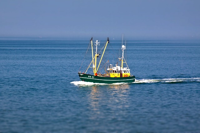 渔刀 船 刀具 - 上的免费照片