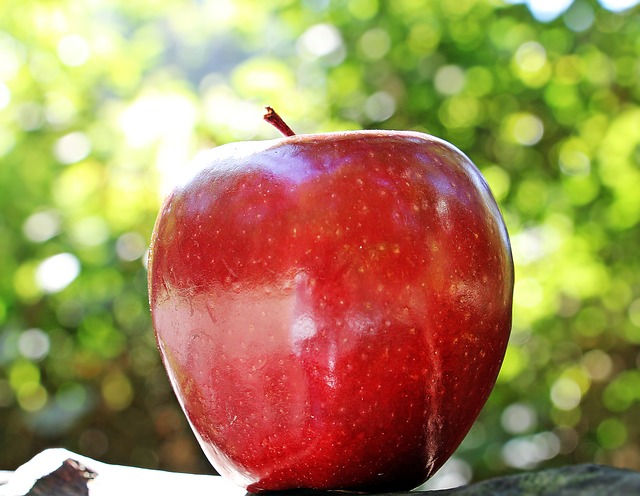 苹果 红色的 水果 - 上的免费照片