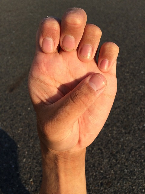 手 指甲 手腕 - 上的免费照片