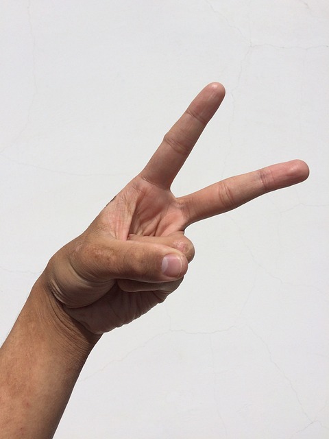 棕榈 手 手指 - 上的免费照片