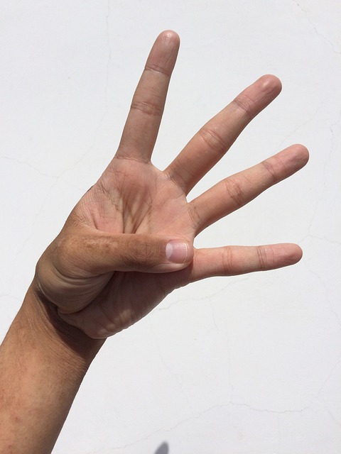棕榈 手 手指 - 上的免费照片