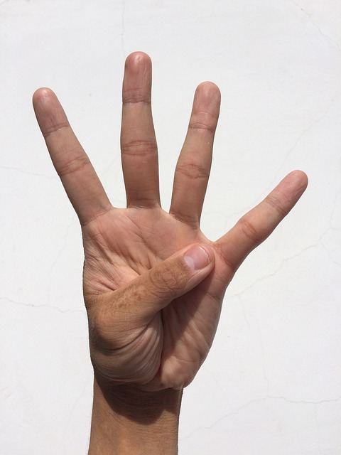 棕榈 手 手指 - 上的免费照片