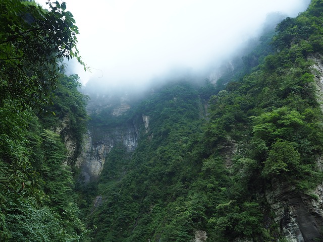 峨眉山 绿色 风景 - 上的免费照片