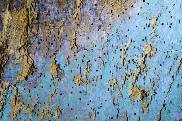 喝 老的 纹理 - 上的免费照片