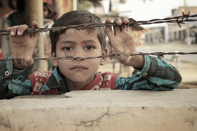 印度人 孩子 带刺铁丝网 - 上的免费照片