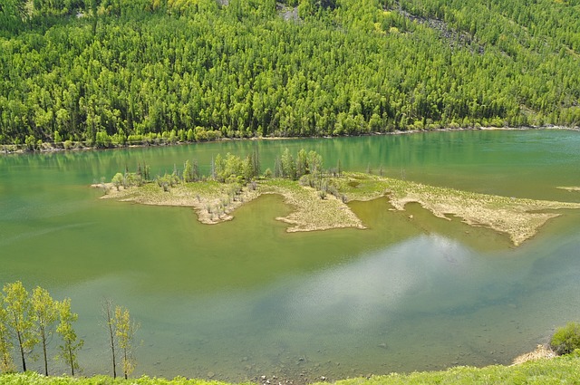 喀纳斯 湖畔 自然 - 上的免费照片