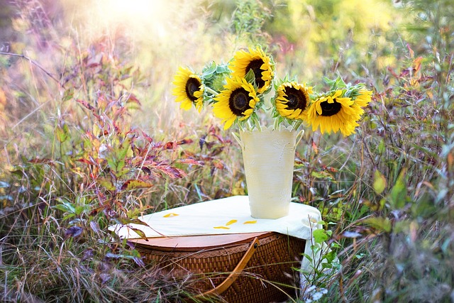 向日葵 花瓶 花束 - 上的免费照片