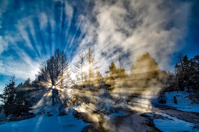 阳光 多雾路段 冬天 - 上的免费照片