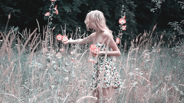 采花的女孩 自然 夏天 - 上的免费照片