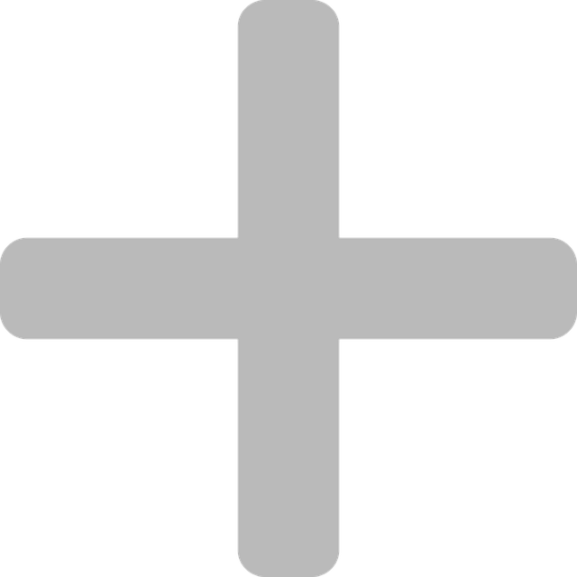 加号 添加 计算机 - 免费矢量图形