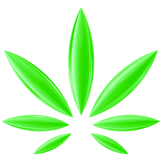 大麻 麻 甘贾 - 上的免费图片