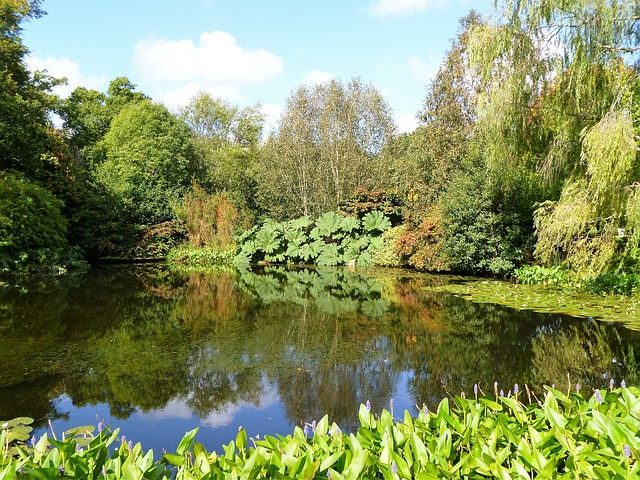 英式花园 水 花园 - 上的免费照片