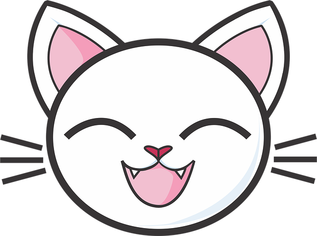 白色猫咪 基蒂 可爱的 - 上的免费图片