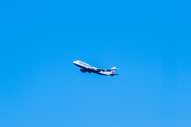 航空公司 跨航空 机 - 上的免费照片
