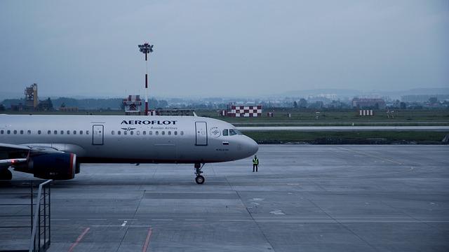 国航 俄罗斯航空公司 护身符 - 上的免费照片