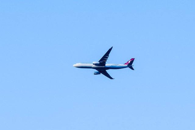 土耳其航空公司 机 大 - 上的免费照片