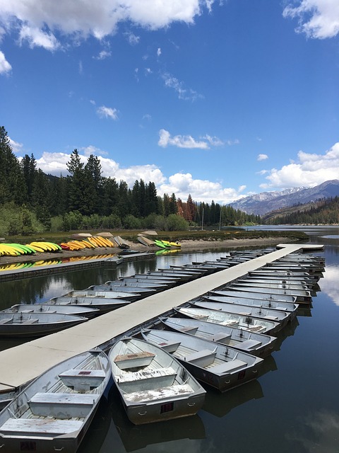 休谟 湖 日出 - 上的免费照片