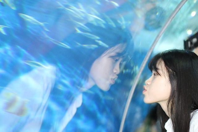 人像 海洋館 女生 - 上的免费照片