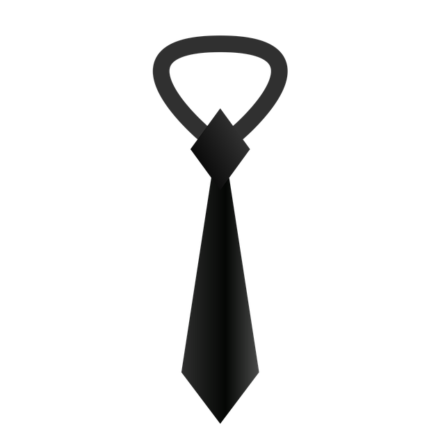 领带 男士西装 方格的 - 免费矢量图形