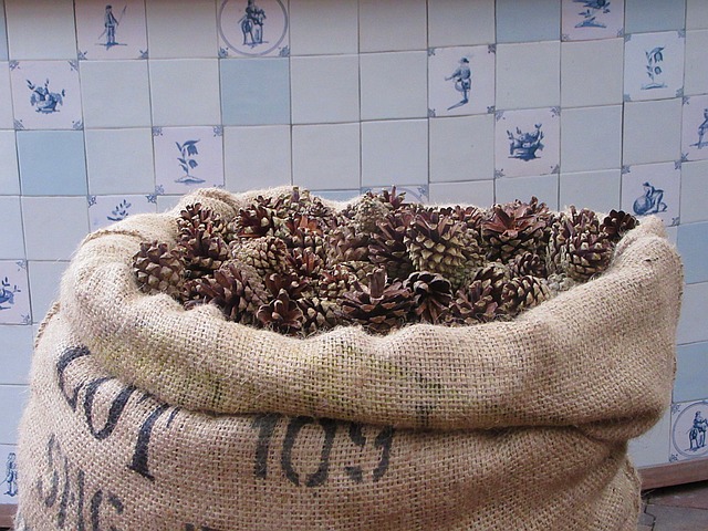 松果 秋季 装饰 - 上的免费照片