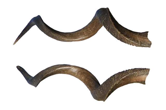 角 恶魔 万圣节 - 上的免费照片