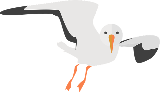 鸥 动物 水鸟 - 免费矢量图形