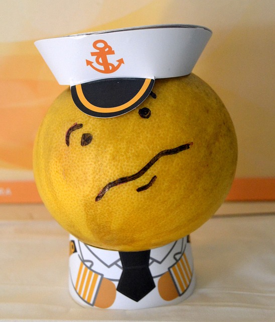 没有安全感 不确定 令人怀疑 - 上的免费照片