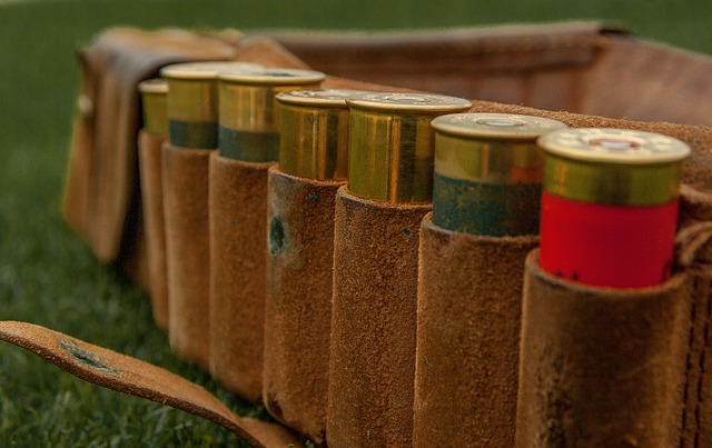 墨盒 弹药 打猎 - 上的免费照片