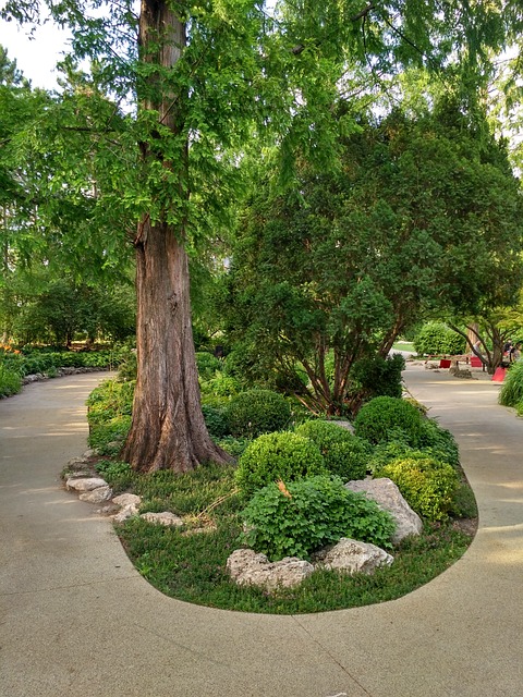 玛格丽特岛 公园 布达佩斯 - 上的免费照片