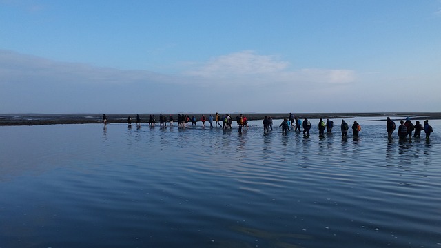 Wadlopen 徒步旅行 走 - 上的免费照片