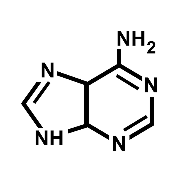 腺嘌呤 核苷酸 痛风 - 上的免费图片