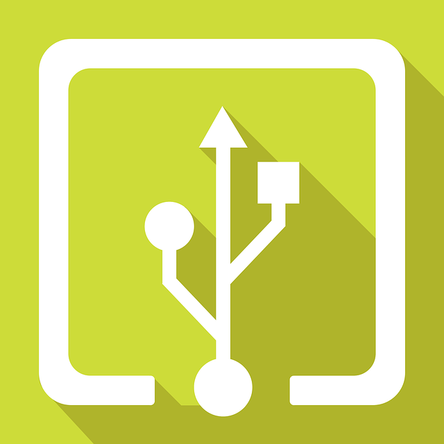 Usb 标识 输入 - 免费矢量图形