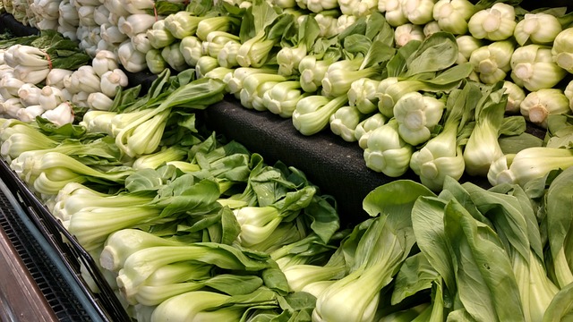 小白菜 绿叶蔬菜 新鲜农产品 - 上的免费照片