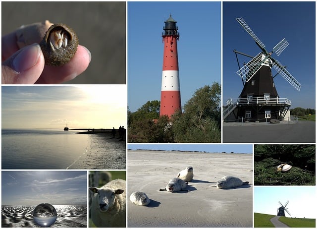 大学 明信片 北海 - 上的免费图片