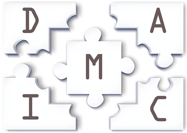 Dmaic 六个西格玛 瘦且健康的 - 上的免费图片
