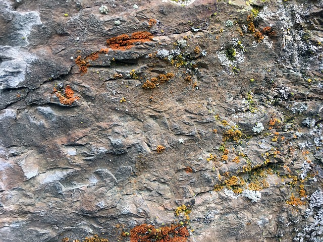质地 岩石 石头 - 上的免费照片