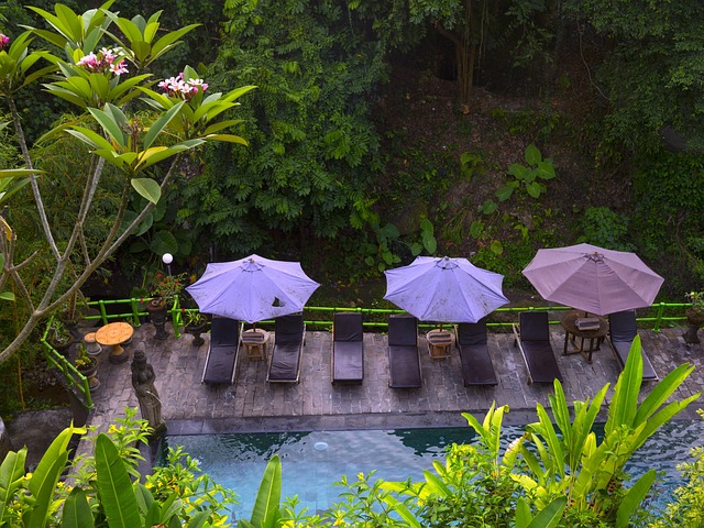 巴厘岛 自然 水池 - 上的免费照片