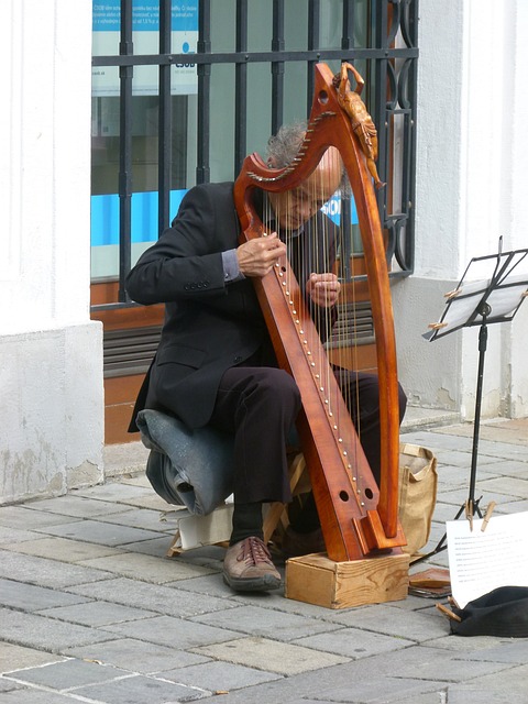 拉迪斯拉发 街头音乐家 - 上的免费照片